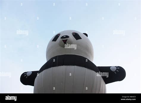 Panda Hot Air Balloon In Hi Res Stock Photography And Images Alamy