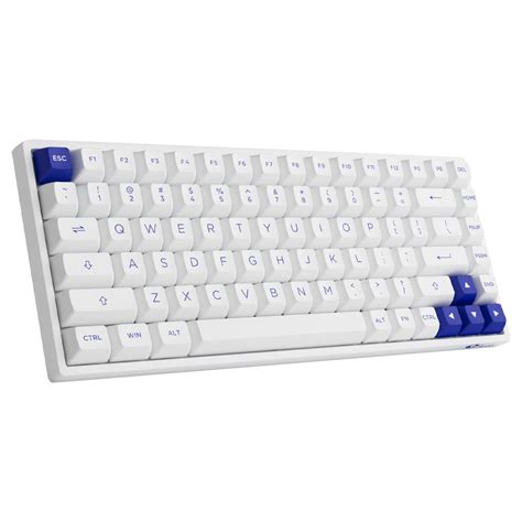 Buy Akko B Plus Blue White Rgb Hot Swap Jelly Pink Pc Case Gear Australia