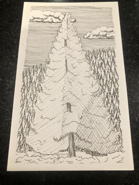 Route Schedule and Stop Information for the 3 Herndon-Cedar Bus 14