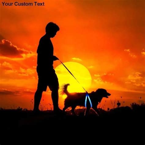 Talis Revolutionary Illuminated And Reflective Harness For Dogs Pet