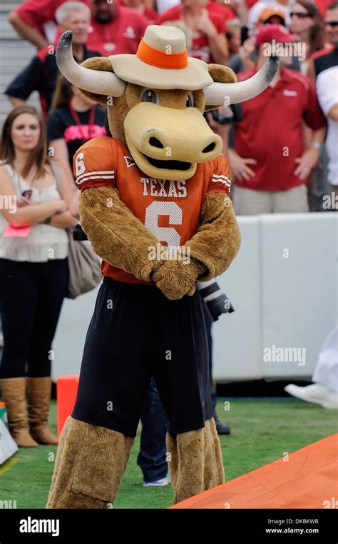 Texas Longhorns Mascot Hi Res Stock Photography And Images Alamy