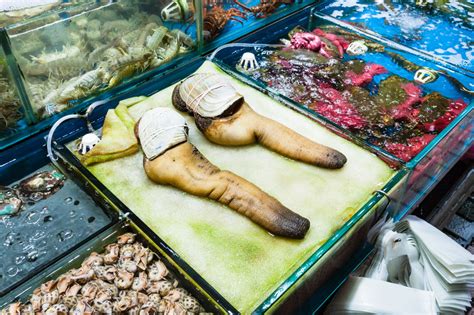 Buy Geoduck The Oceans Treasure A Gourmet Guide For Seafood Lovers