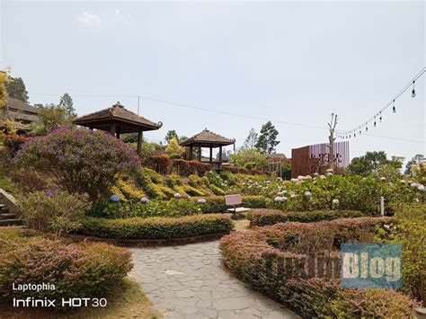 Menjajal Infinix Hot Smartphone Sejutaan Fitur Lengkap Banget Tuxlin Blog