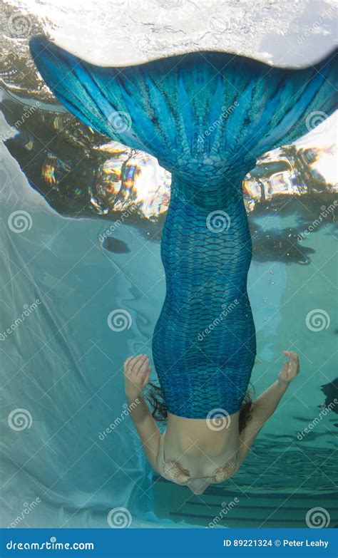 Woman Wearing Shell Bikini And Mermaid Tale Stock Photo Image Of