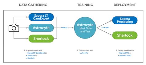 Teledyne Dalsa Astrocyte Ai Training Tool