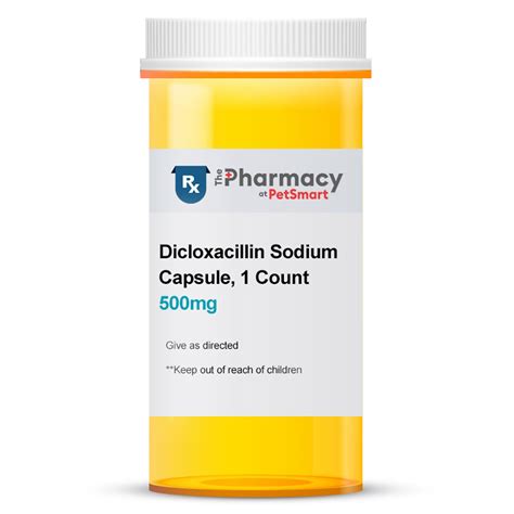 Can You Give A Dog Amoxicillin 500mg