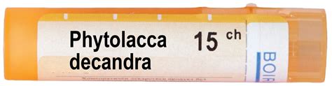 ФИТОЛАКА ДЕКАНДРА 15СН