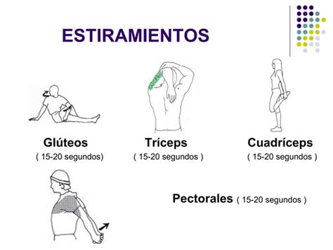 Calentamiento General Y Espec Fico Del Voleibol Ppt