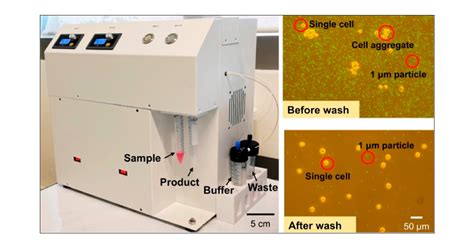 Automatic Microfluidic Cell Wash Platform For Purifying Cells In