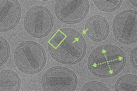 Comparing Analytical Techniques For Nanoparticle Characterization