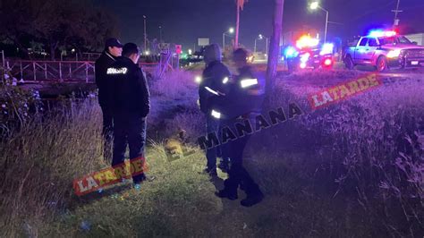 Atropella Un Perro Y Cae De Motocicleta