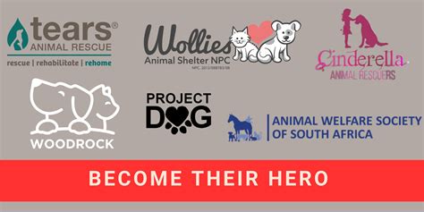 Pets24 Festive Season Drive: Spreading Joy to Shelters - Pets24