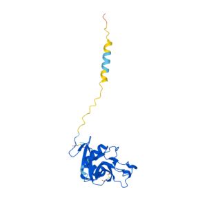 REG3G Gene GeneCards REG3G Protein REG3G Antibody