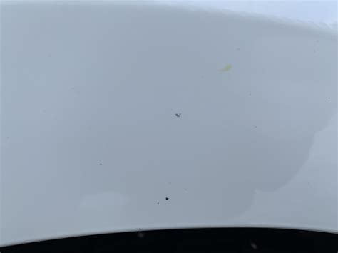 Гудрон зимой? — Skoda Rapid (1G), 1,6 л, 2018 года | наблюдение | DRIVE2