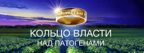 РИДОМИЛ® ГОЛД Р, ВДГ регламенты, классификация и безопасность ...