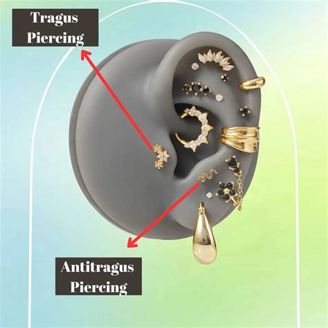 Tragus and Antitragus Piercing – EricaJewels