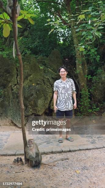 Beach Monkey Photos And Premium High Res Pictures Getty Images