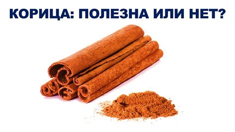 КОРИЦА: ПОЛЕЗНА ИЛИ НЕТ? - YouTube