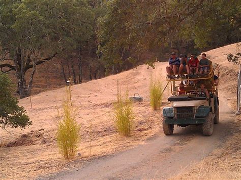 An Overnight Safari In The Steppes Of California