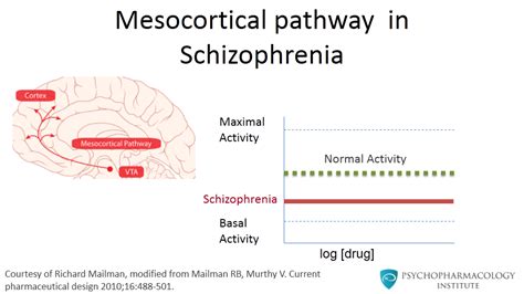 Psychopharmacology Institute