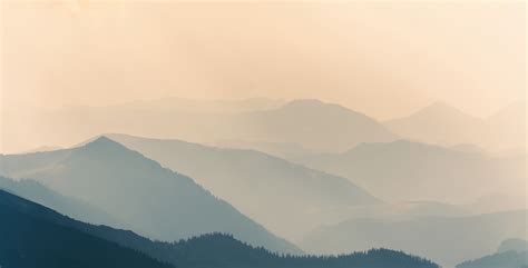 Вина AURVIN - производитель уникальных вин в экологически чистом ...