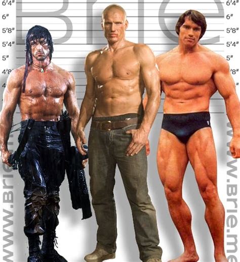 Dolph Lundgren Height Brie