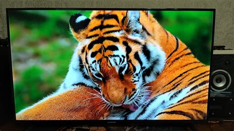 Обзор безрамочного телевизора Harper 43F720T / ТВ, мультимедиа и ...