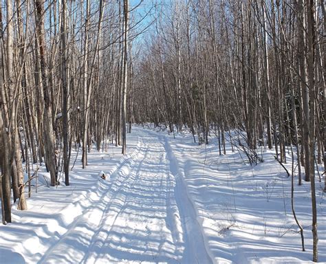 Hiking in Maine with Kelley: 1/7/13 Snowmobile Trails