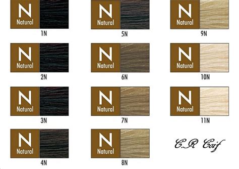 Chi Ionic Permanent Hair Color Shade Chart Chi Hair Color Hair Shade