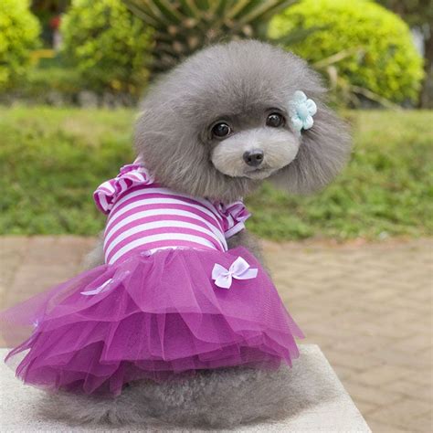 Pomeranian Dresses Chihuahua Summer Clothing Dogs Princess Dress Pet ...