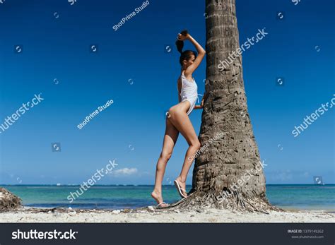 Sexy Woman Swimsuit Bikini Palm Island Stock Photo Shutterstock