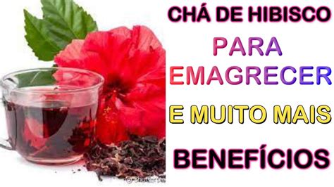 Cha De Hibisco Abaixa A Pressao