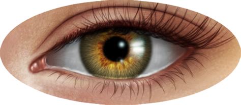 eye png