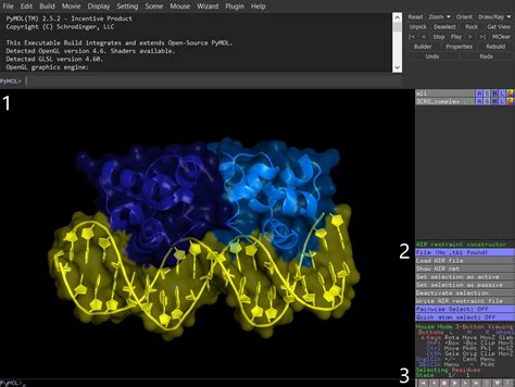 Protein-DNA docking Using HADDOCK High-Ambiguity Driven DOCKing