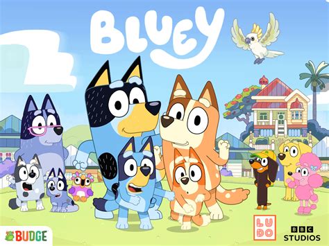 Why is the bluey app by BUDGE studios? And its what people say the ...