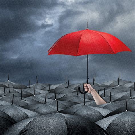 7 Examples Of Successful Umbrella Branding Strategies - Propr