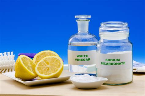 Comment Utiliser Du Vinaigre Blanc Pour Entretenir Le Jardin