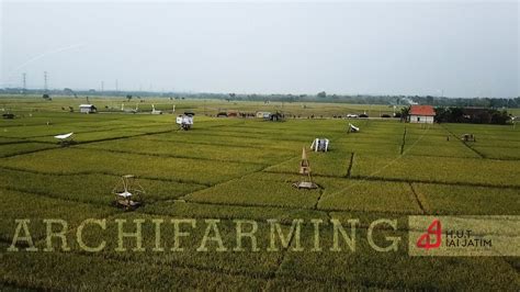 Ublik On The Road Archifarming Sulap Sawah Menjadi Tempat Nongkrong