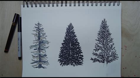 How To Draw Evergreen Pine Trees Easily For The Beginner Youtube