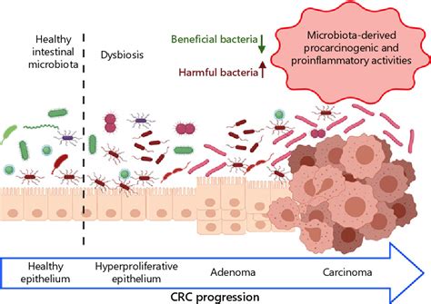 Table 1 From The Role Of Fusobacterium Nucleatum In Colorectal