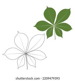 Set Vector Chestnut Leaf Outline Coloured Stock Vector Royalty Free