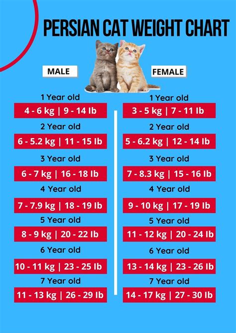 Cat Weight Chart By Age & Height In Kg, Ibs ⚖