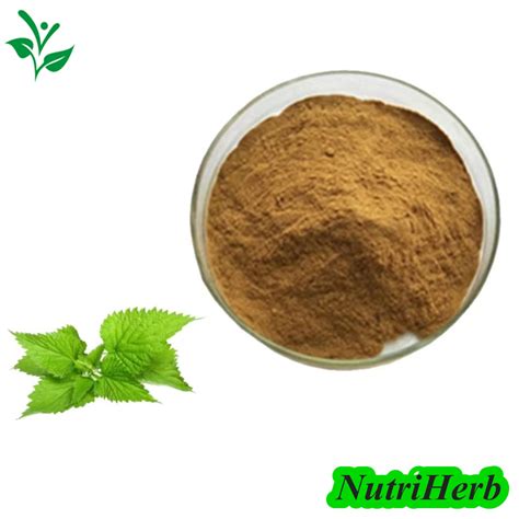 Nutriherb Supply Natural Stinging Nettle Extract Nettle Extract