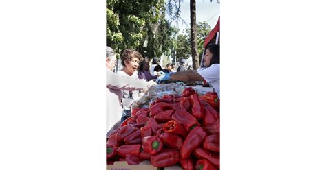 National Health Foundation Tackles Food Insecurity With Drive Thru Food