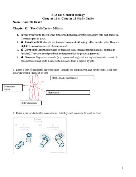 Chapter 12 and 13 Study Guide F23 - BIO 181 General Biology Chapter 12