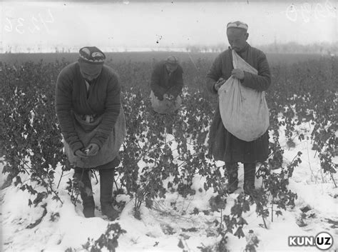 100 лет на хлопковом поле – историческая фотоподборка о самоотверженном ...