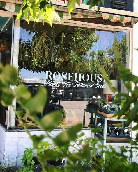 A Green-Thumbed Guide to Denver's Best Plant Stores - 303 Magazine