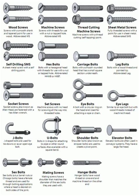 35 Different Types Of Screws And Their Uses Sepsitename