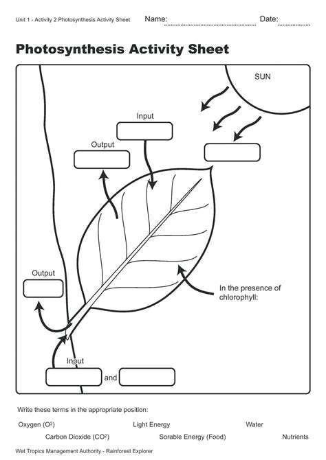 Photosynthesis Worksheet High School Worksheet For Education