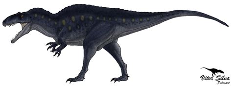 Paleoillustration